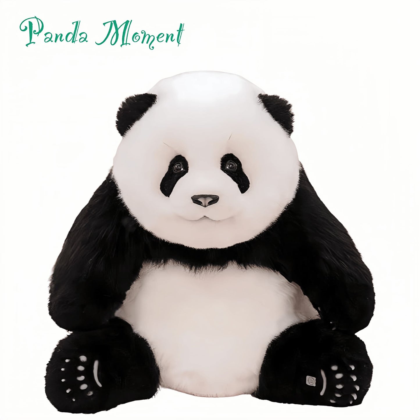 Meng Lan Panda – El tercer príncipe del Reino Panda 🐼👑