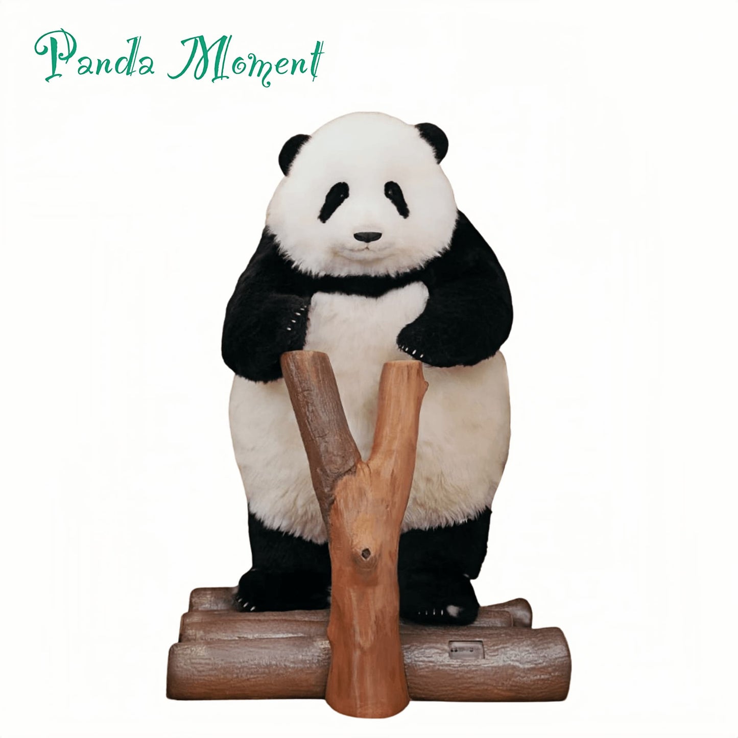 Hua Hua Limited Edition Panda โ Handcrafted, Realistic & Iconic ๐ผโจ