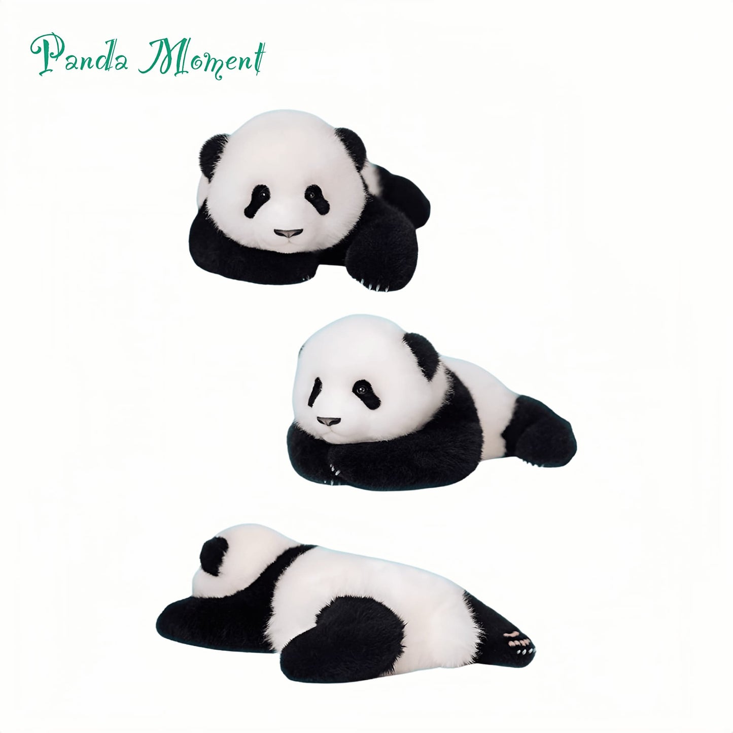Meng Lan Panda Plush – The Prince of the Panda World 🐼👑