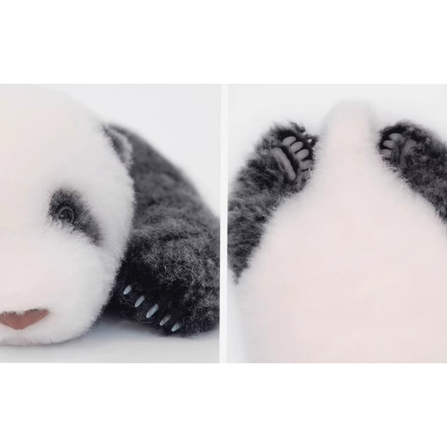 Panda He Hua – The Ultimate Handcrafted Panda Plush, Your Legal Way to Adopt a Giant Panda 🐼💖