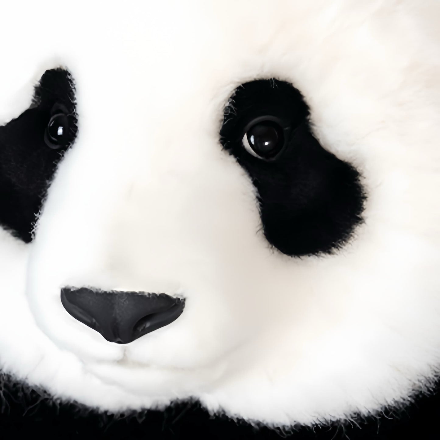 パンダフェイユン – 力と魅力を備えた究極の手作りパンダぬいぐるみ🐼💖