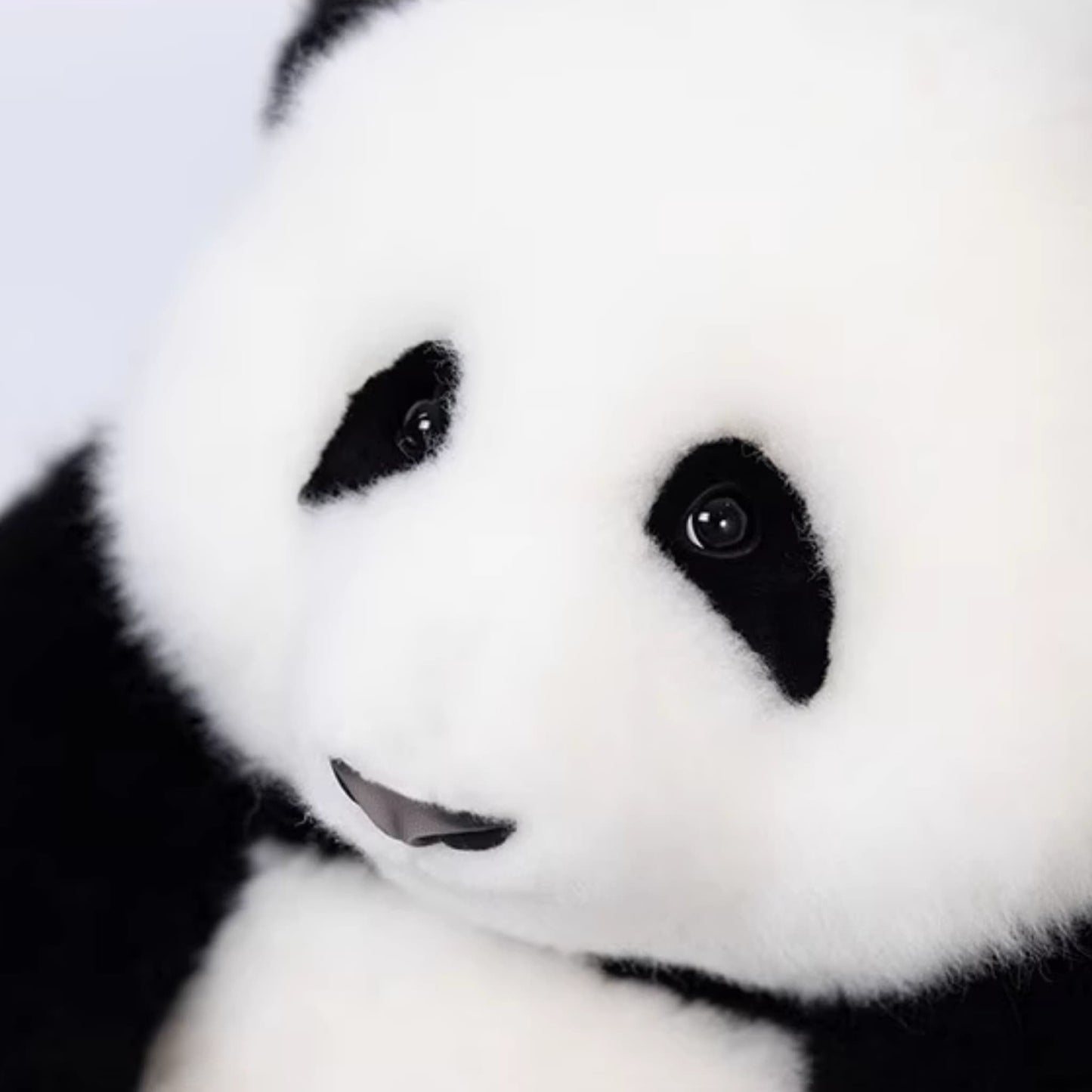He Hua Panda Twins - Handcrafted Limited Edition Panda Plush with Realistic Features 🐼💖