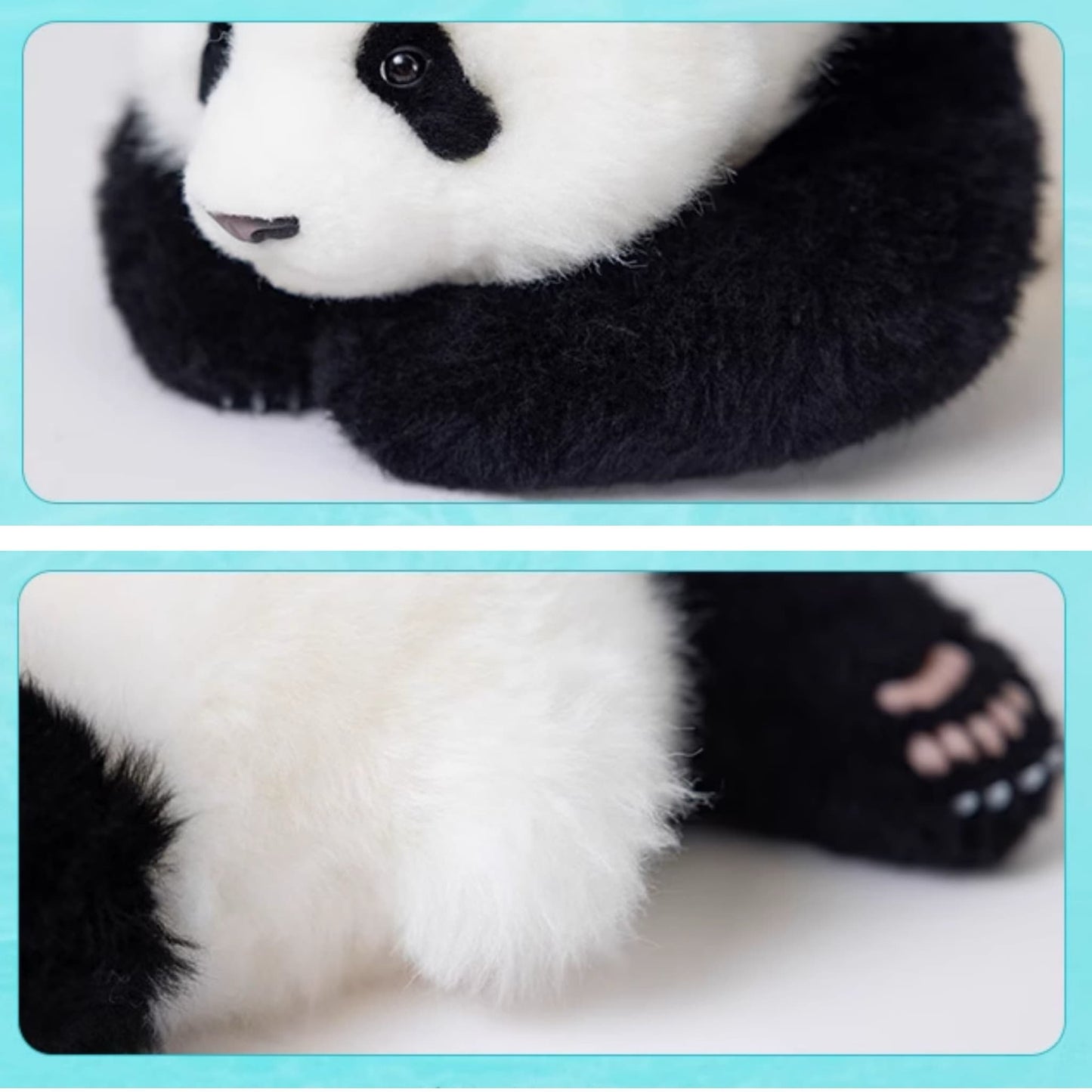 Meng Lan Panda Plush – The Prince of the Panda World 🐼👑