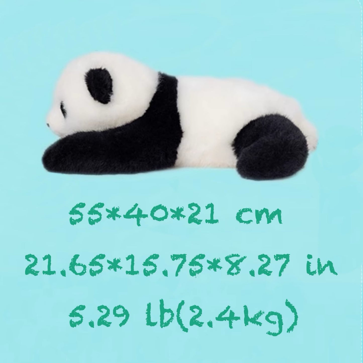 Meng Lan Panda Plush – The Prince of the Panda World 🐼👑