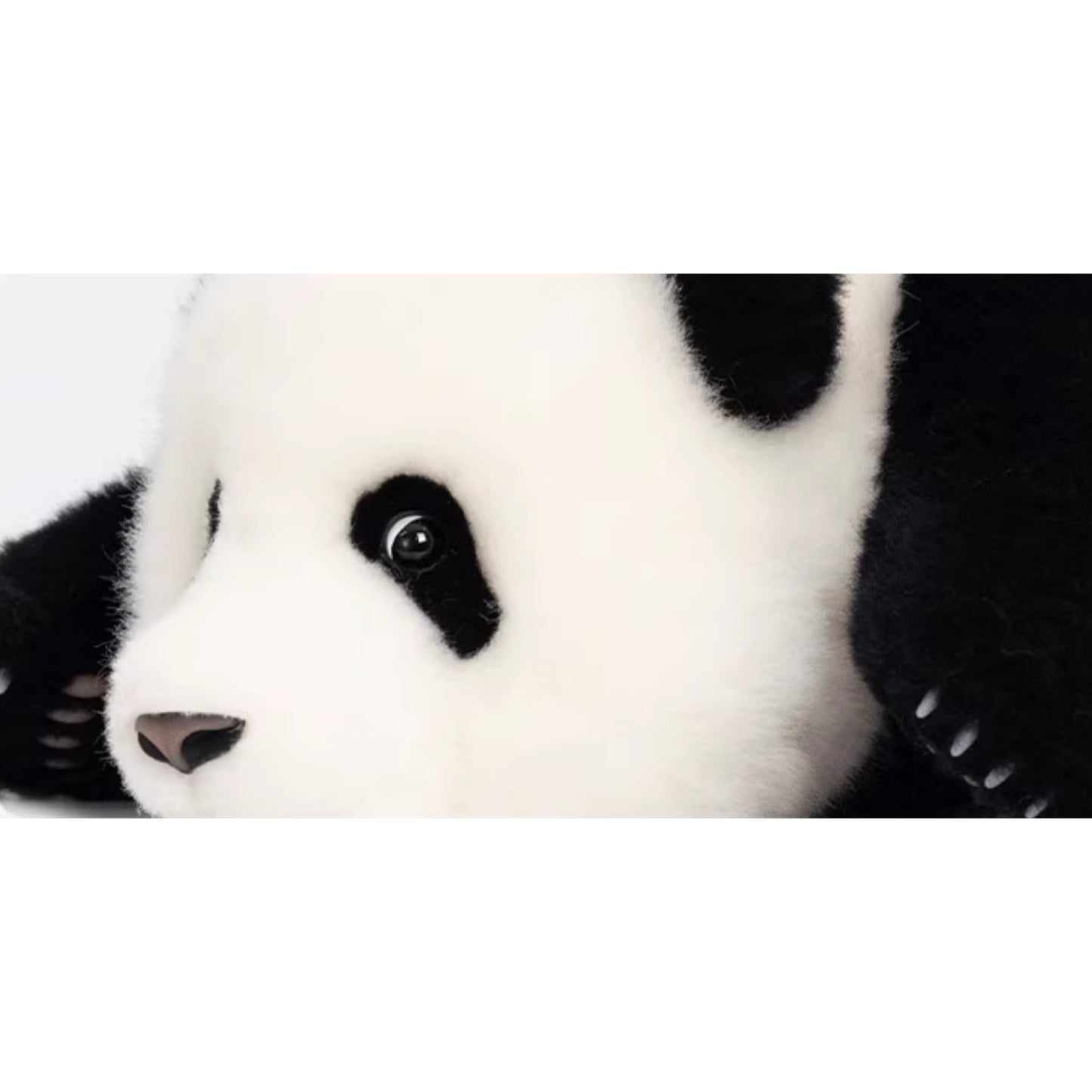 He Ye Panda Plush โ The Underdog of Panda Royalty ๐ผ๐