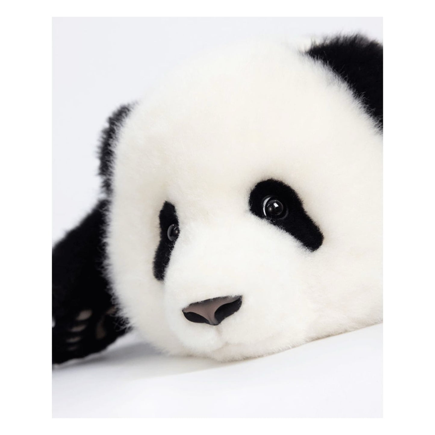He Ye Panda Plush โ The Underdog of Panda Royalty ๐ผ๐