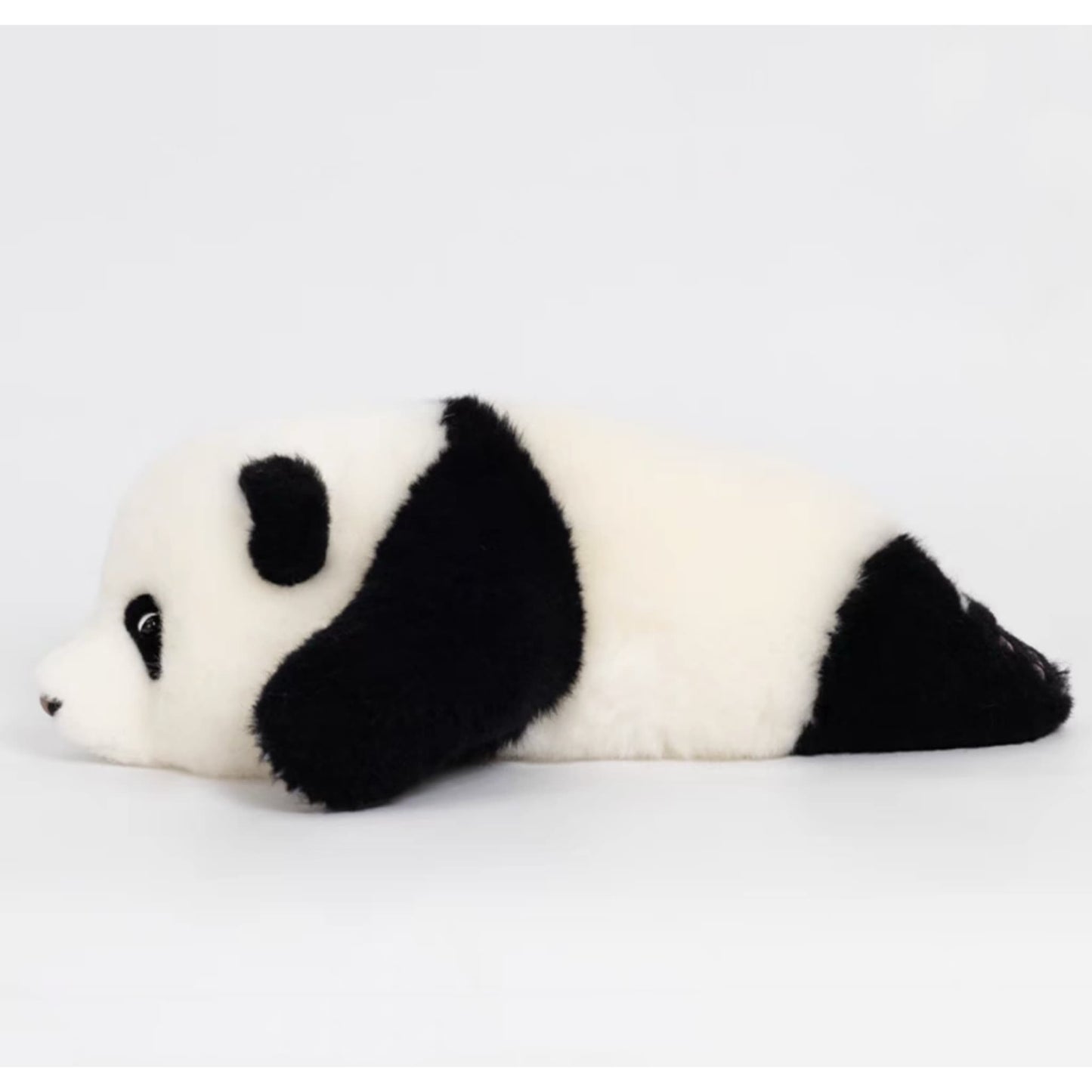 He Ye Panda Plush โ The Underdog of Panda Royalty ๐ผ๐