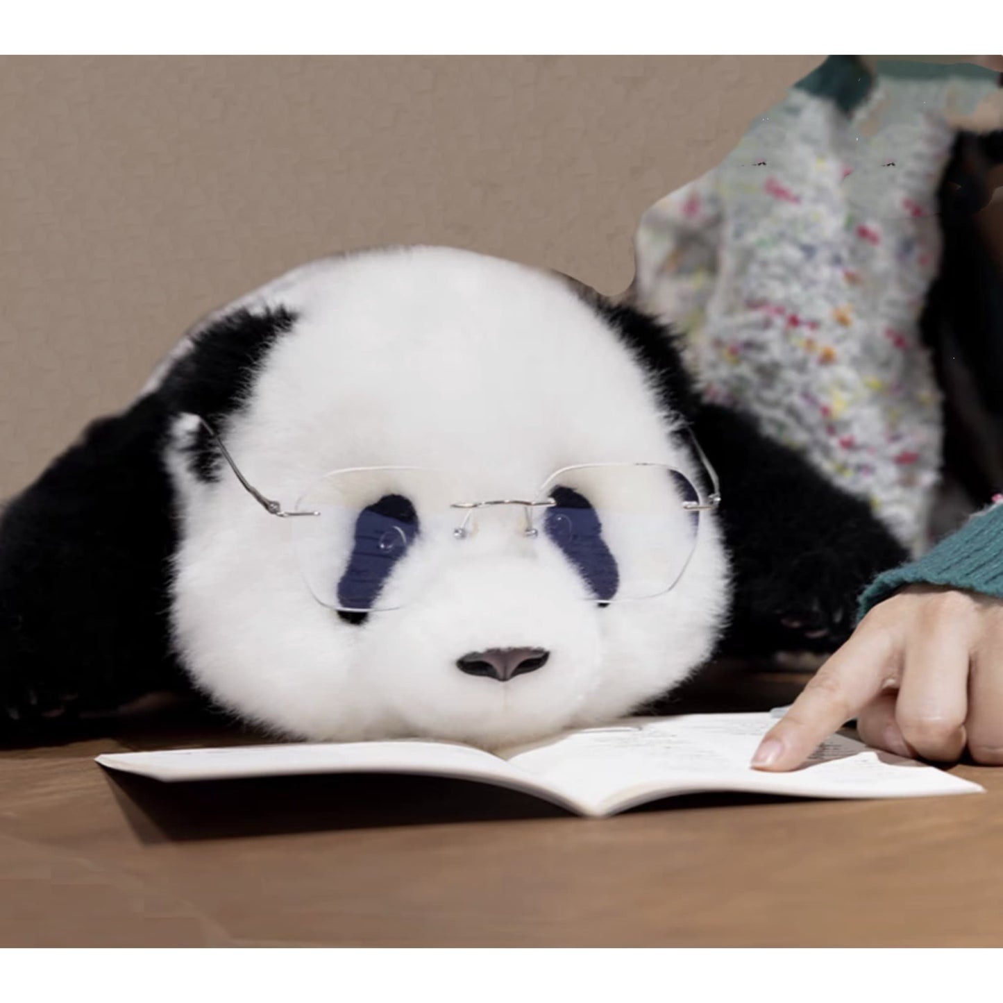 He Ye Panda Plush โ The Underdog of Panda Royalty ๐ผ๐