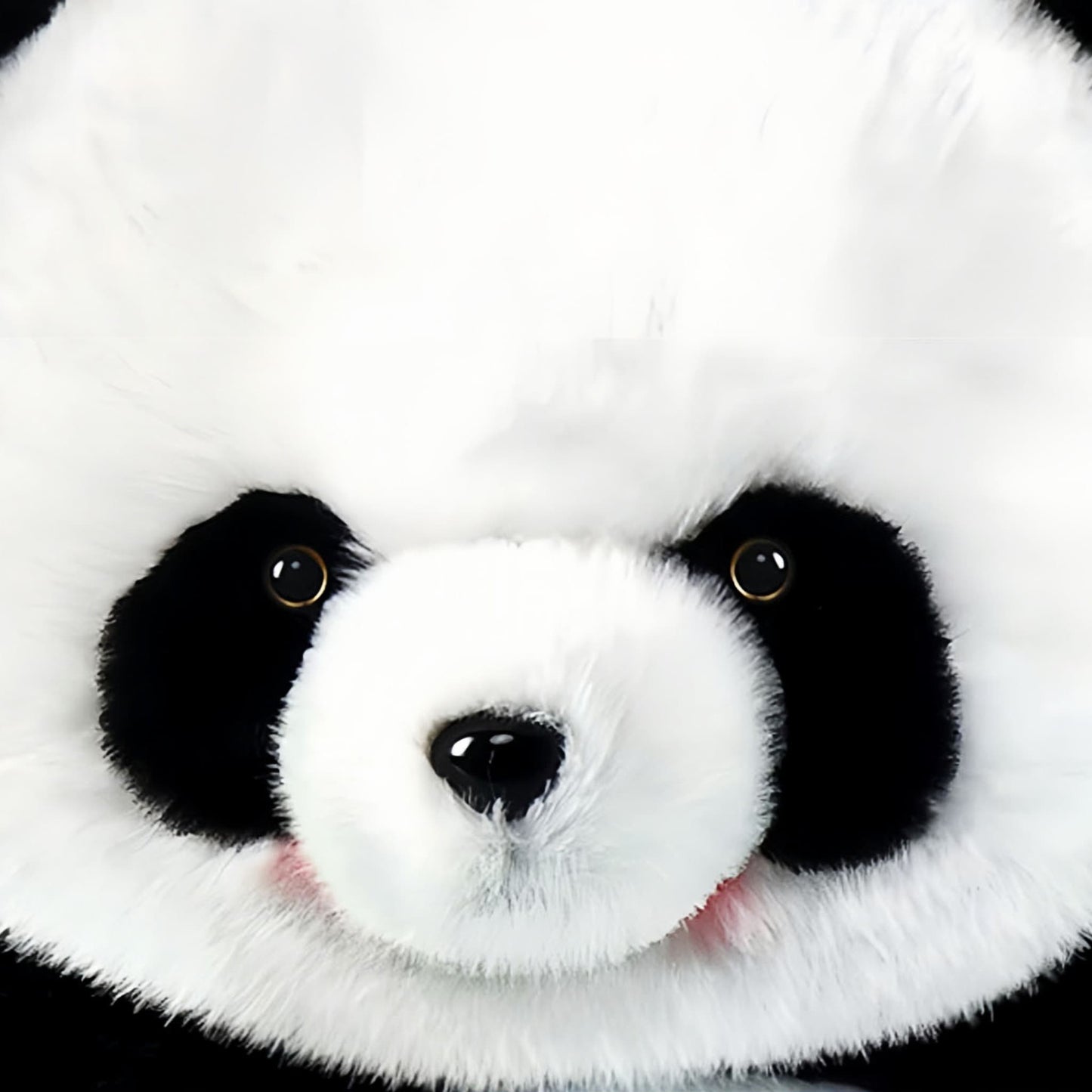 Adoptable Panda Plush – Your Official Hug Ambassador from Chengdu 🐼💖