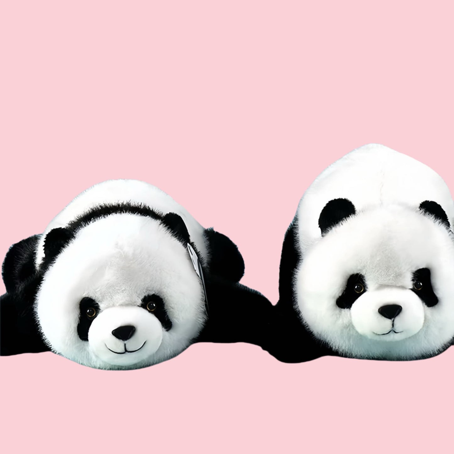Hermanas Gemelas Panda: Adorables ositos de peluche para máxima comodidad 🐼💕