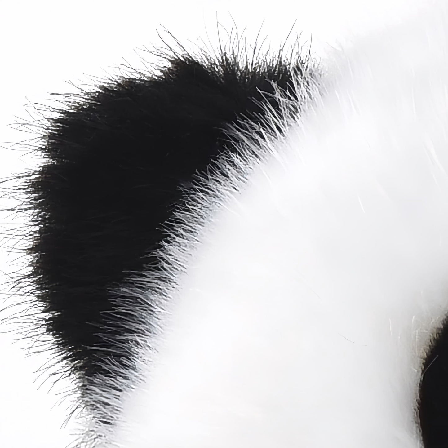 Conjunto de peluche de pandas gemelos: Hua Hua y He Ye, tu equipo ideal de abrazos 🐼💖🐼