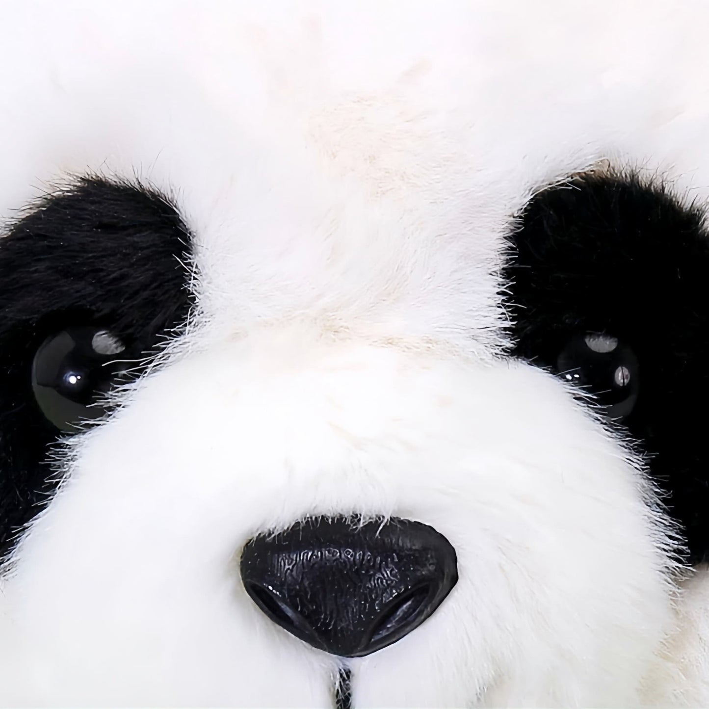 Peluche Panda Mei Lan: El Panda Original del Programa Internacional de Cría 🐼🌟