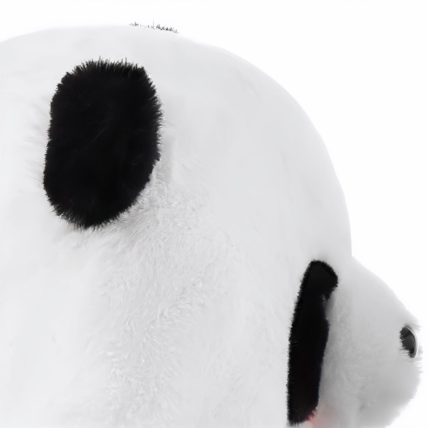 Adoptable Panda Plush – Your Official Hug Ambassador from Chengdu 🐼💖