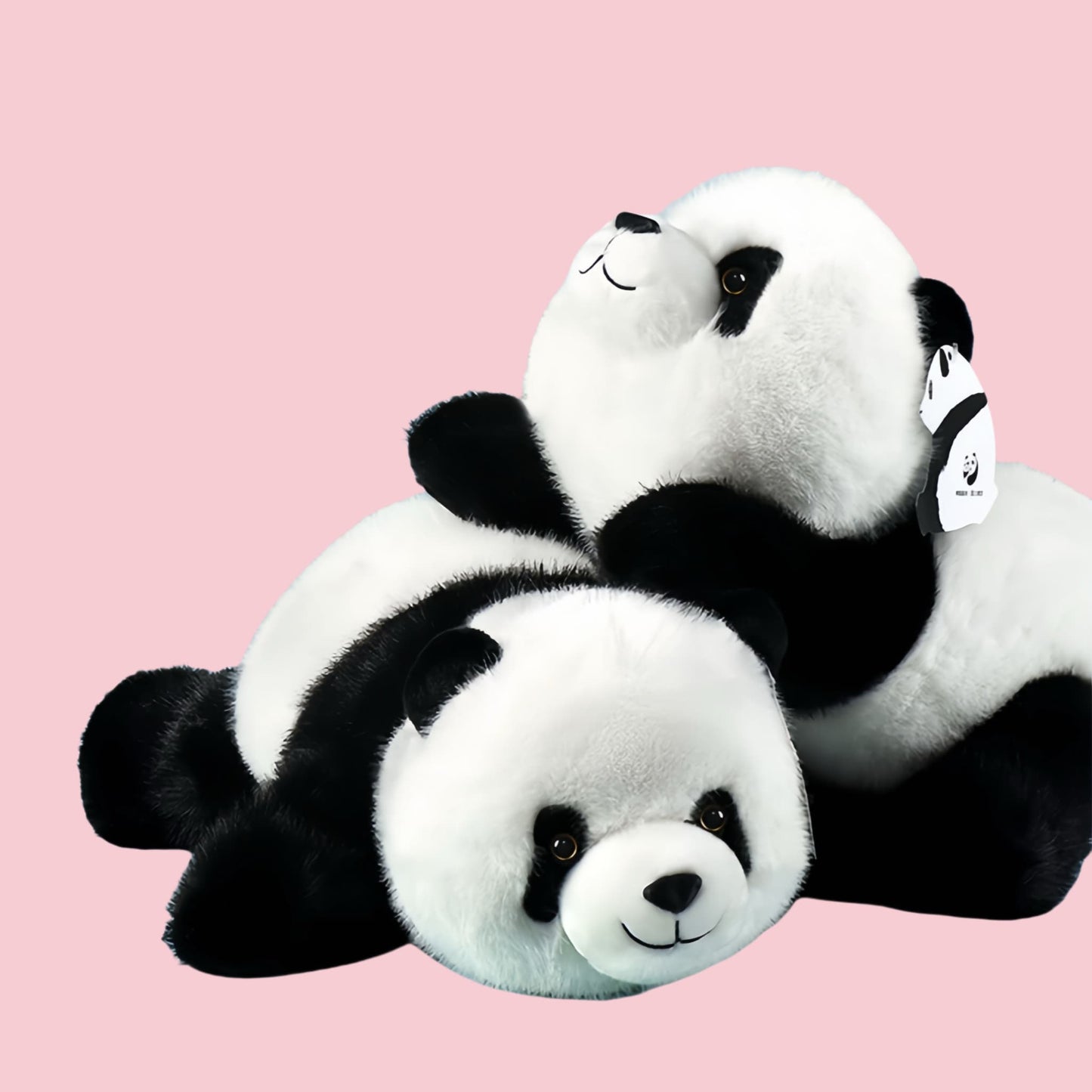 Hermanas Gemelas Panda: Adorables ositos de peluche para máxima comodidad 🐼💕