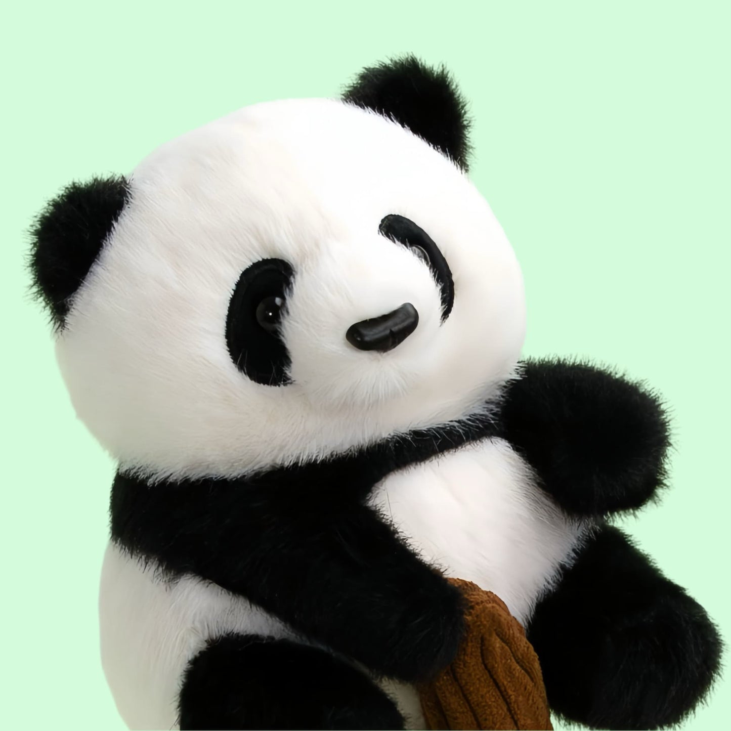 Panda de peluche Hua Hua: un compañero juguetón y abrazoso que trepa árboles 🐼🌳