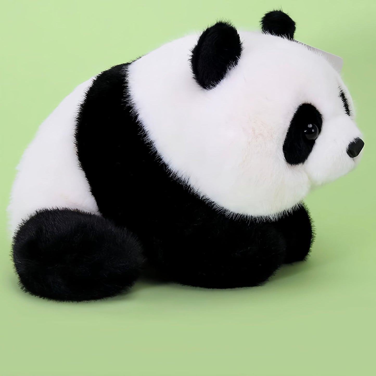 Peluche Panda Mei Lan: El Panda Original del Programa Internacional de Cría 🐼🌟