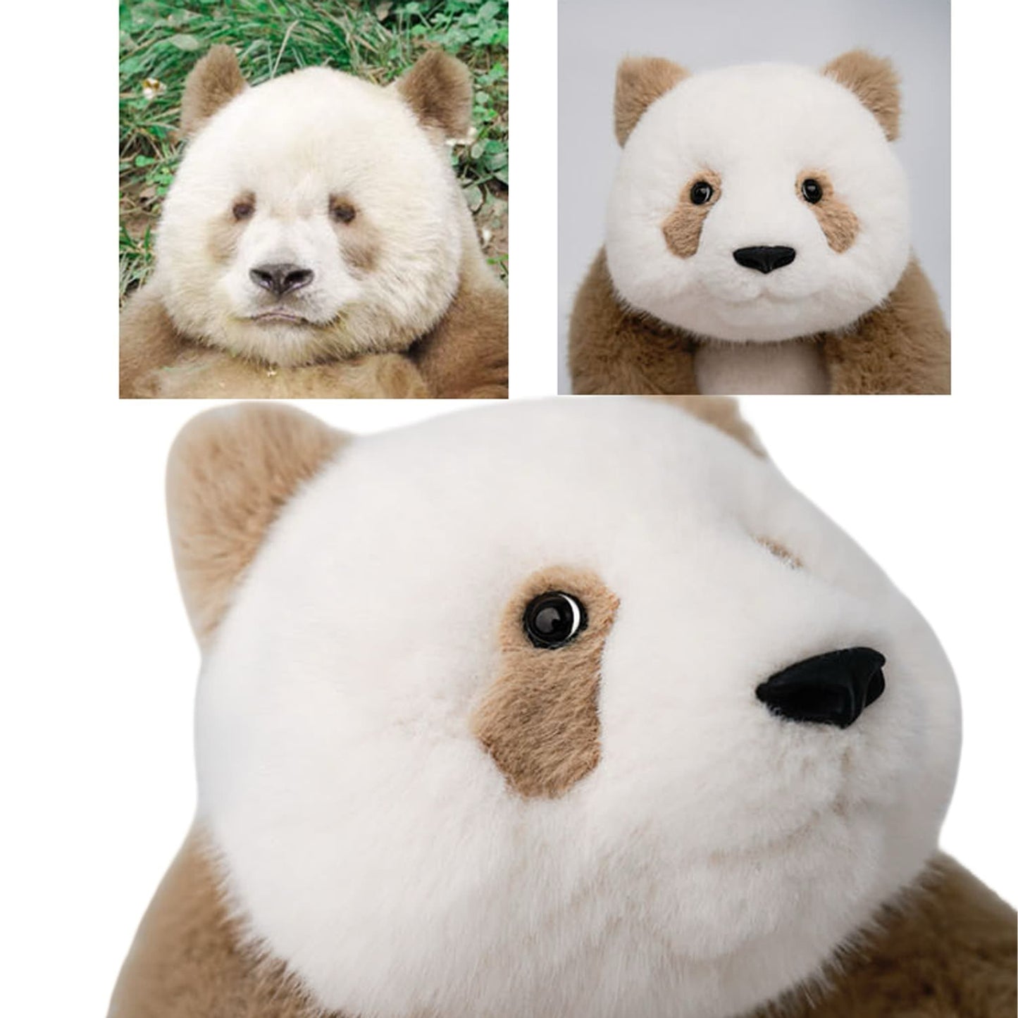 Qi Zai Panda – 珍しい茶色のパンダのぬいぐるみ、とってもかわいい仲間🐼💫