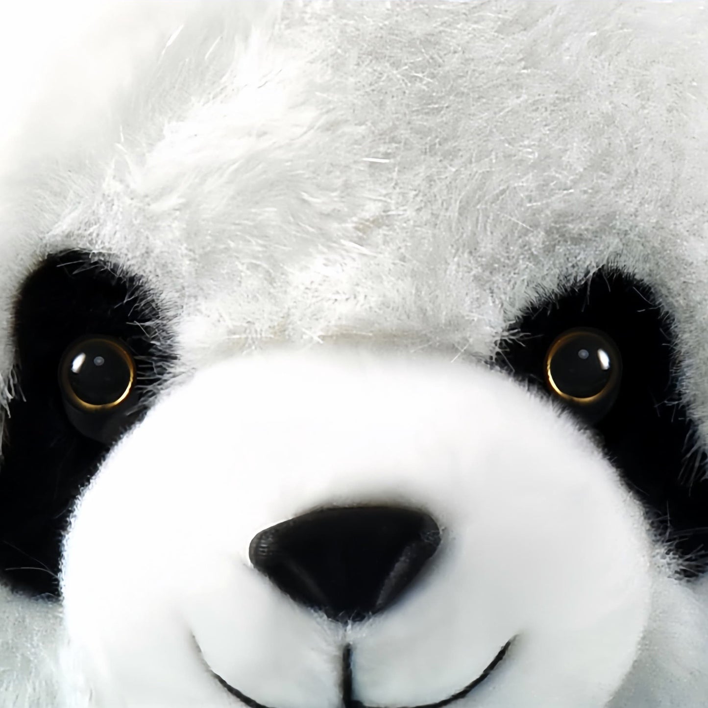 Hermanas Gemelas Panda: Adorables ositos de peluche para máxima comodidad 🐼💕