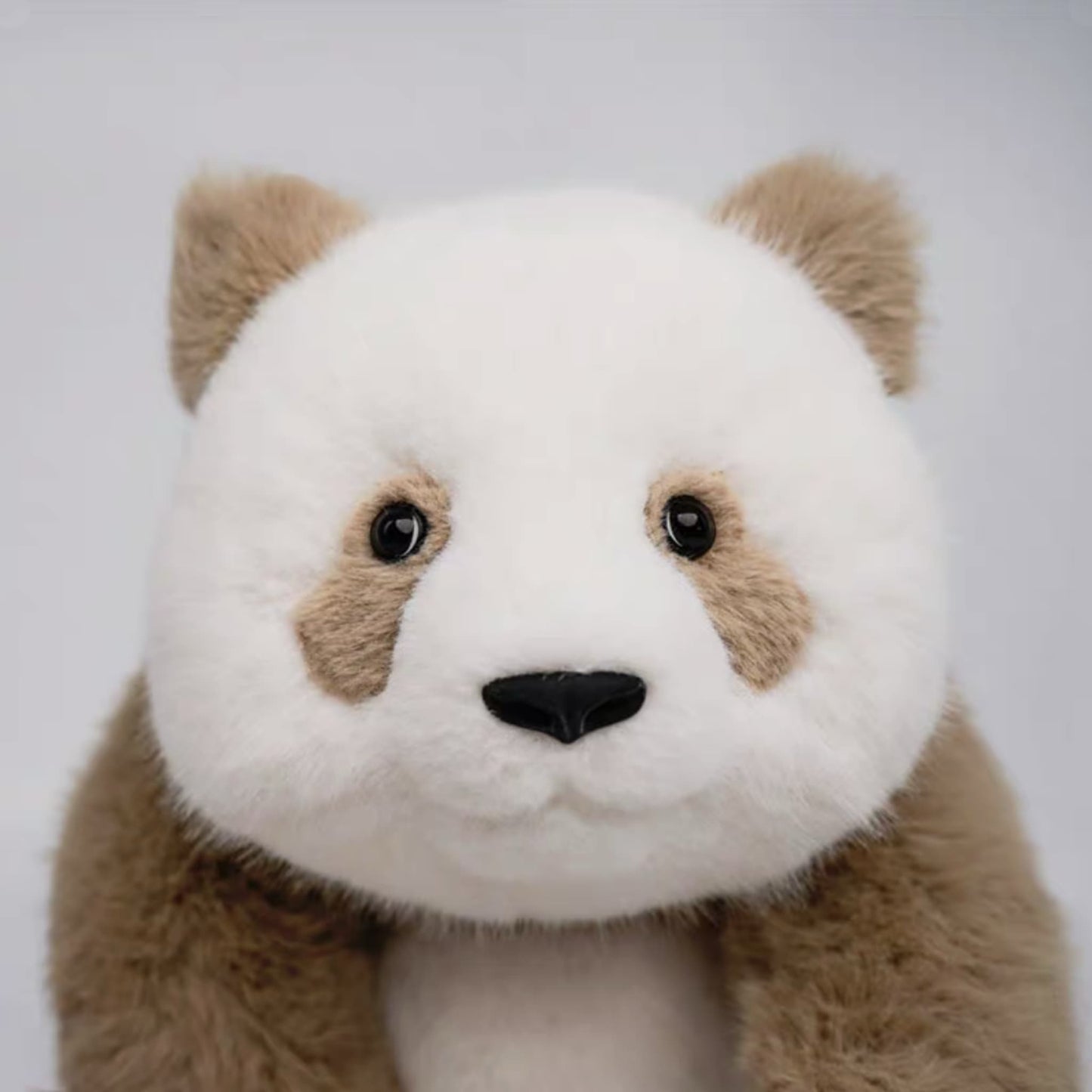 Qi Zai Panda – 珍しい茶色のパンダのぬいぐるみ、とってもかわいい仲間🐼💫