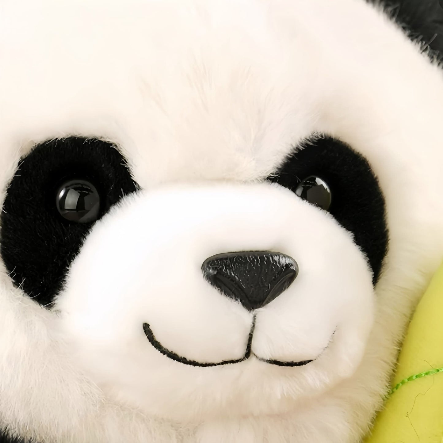 Adopt-A-Panda Plush – Hua Hua the Diva of Cuddles 🐼💕
