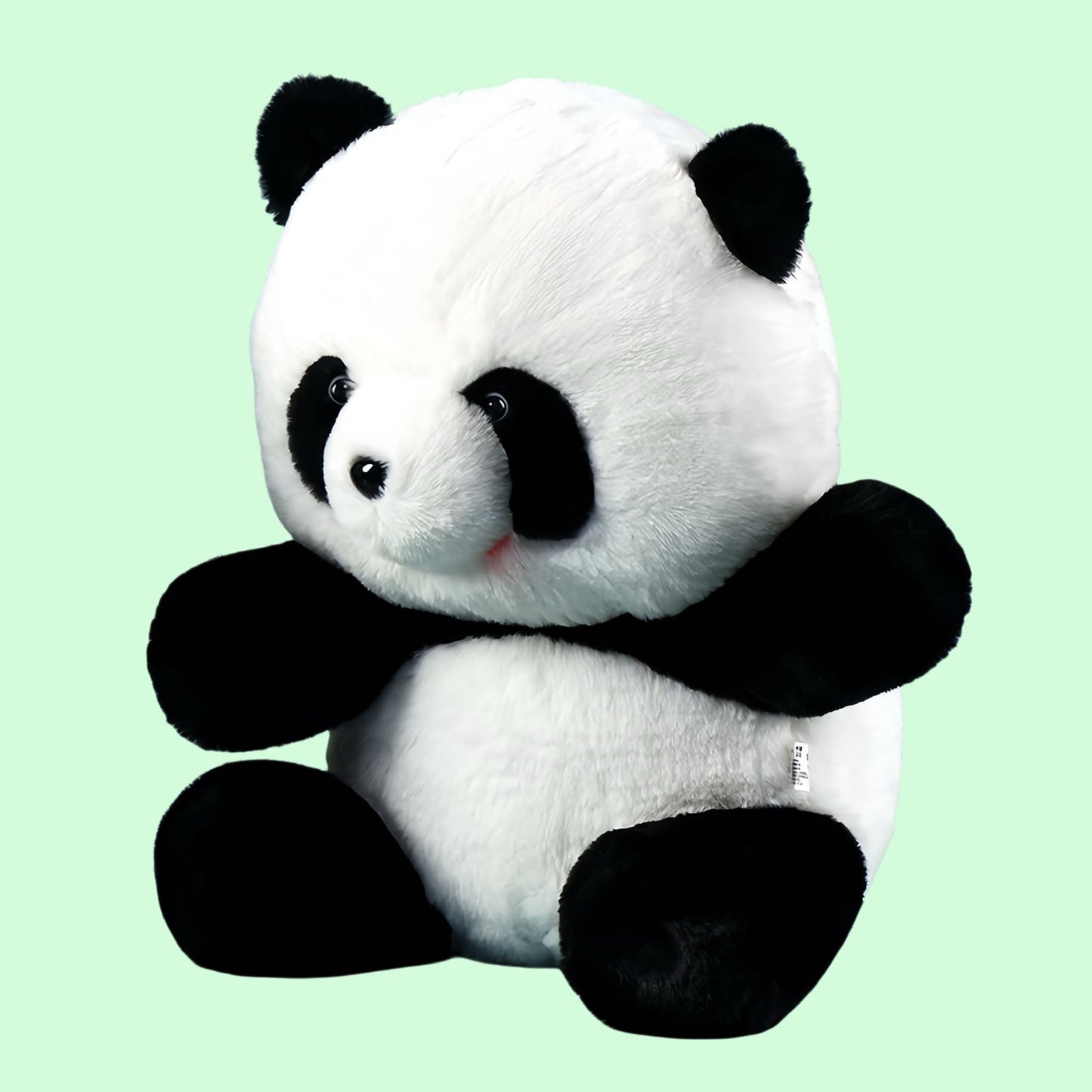 Adoptable Panda Plush – Your Official Hug Ambassador from Chengdu 🐼💖
