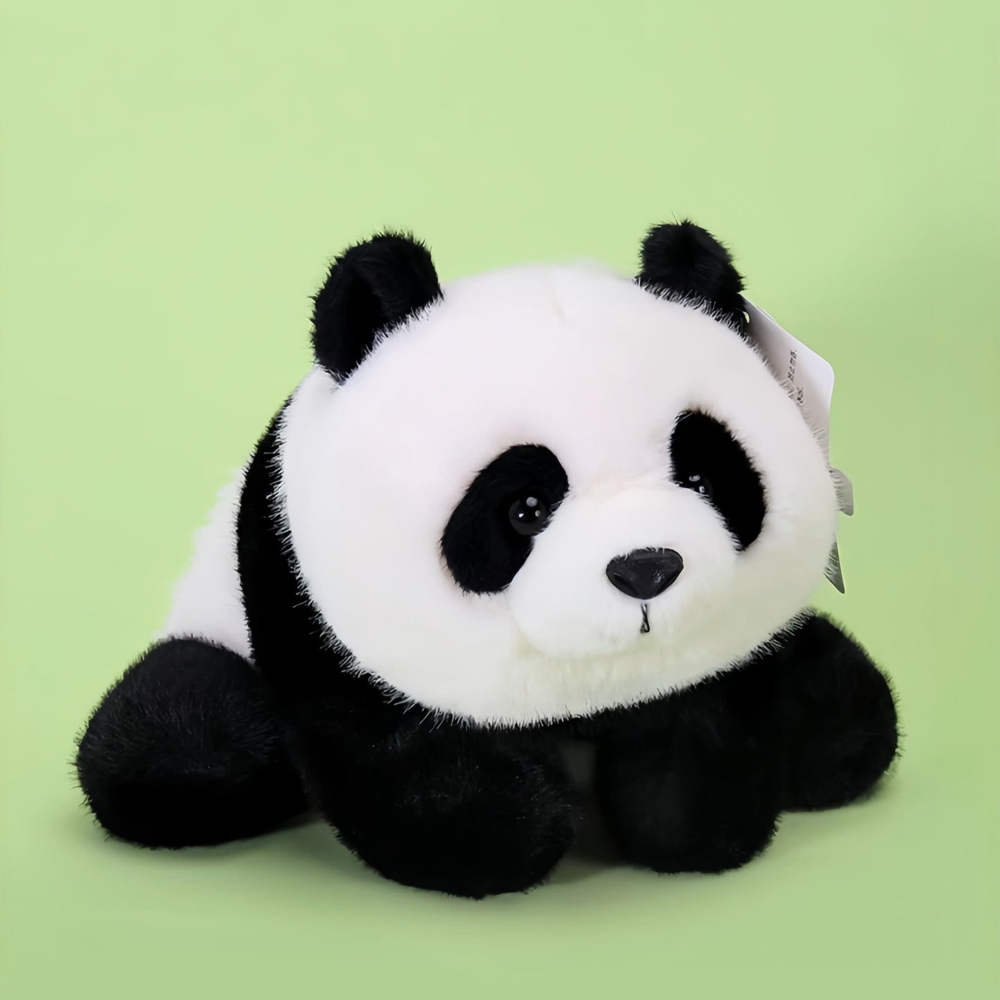 Peluche Panda Mei Lan: El Panda Original del Programa Internacional de Cría 🐼🌟