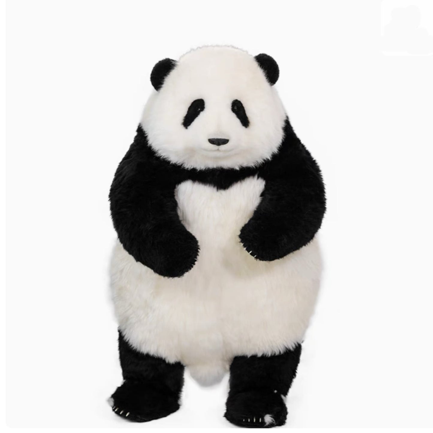 Hua Hua Limited Edition Panda โ Handcrafted, Realistic & Iconic ๐ผโจ