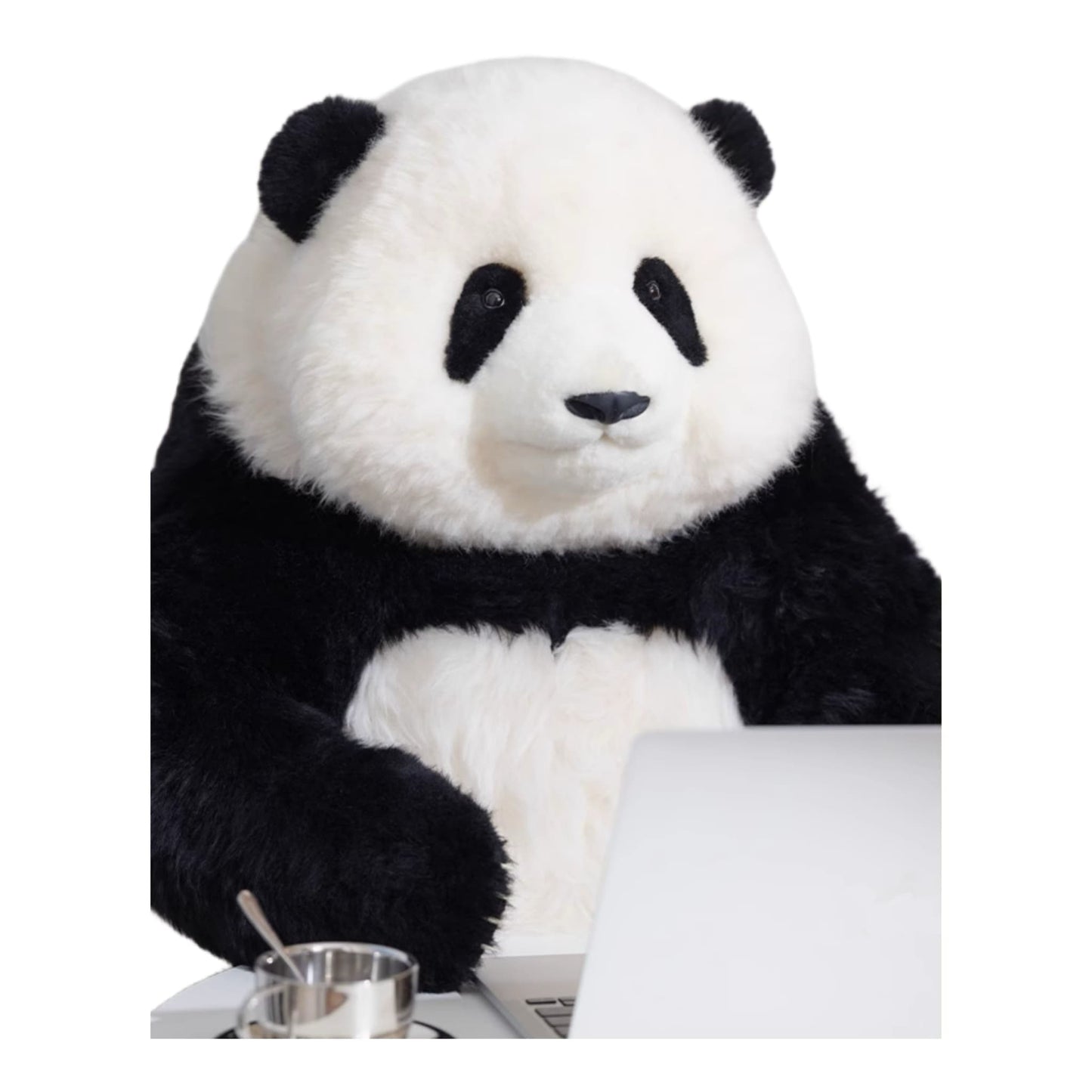 Hua Hua Limited Edition Panda โ Handcrafted, Realistic & Iconic ๐ผโจ