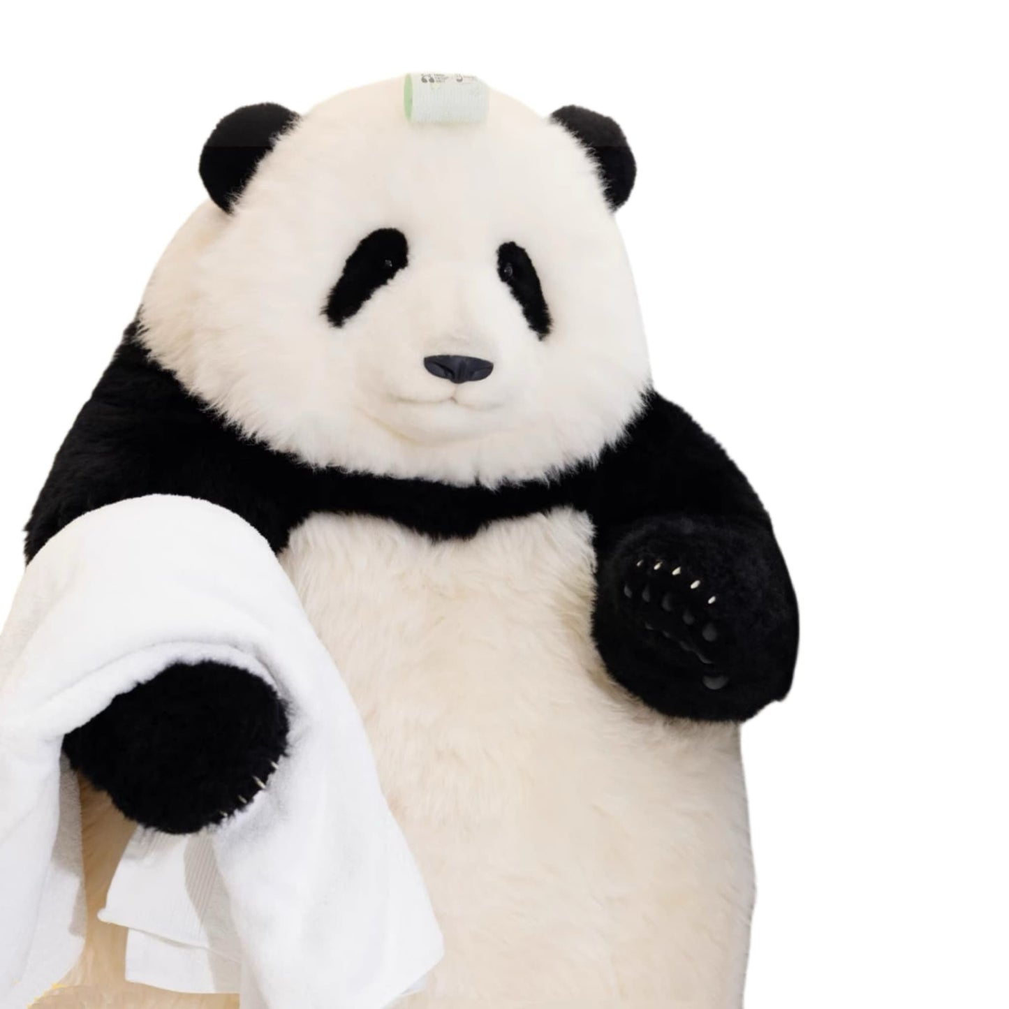 Hua Hua Limited Edition Panda โ Handcrafted, Realistic & Iconic ๐ผโจ