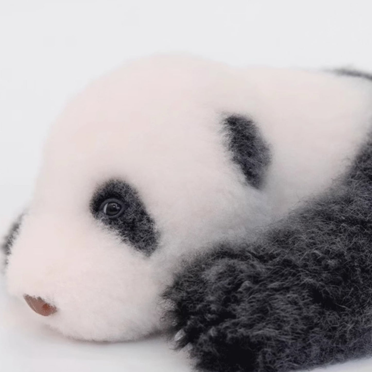 Panda He Hua – The Ultimate Handcrafted Panda Plush, Your Legal Way to Adopt a Giant Panda 🐼💖