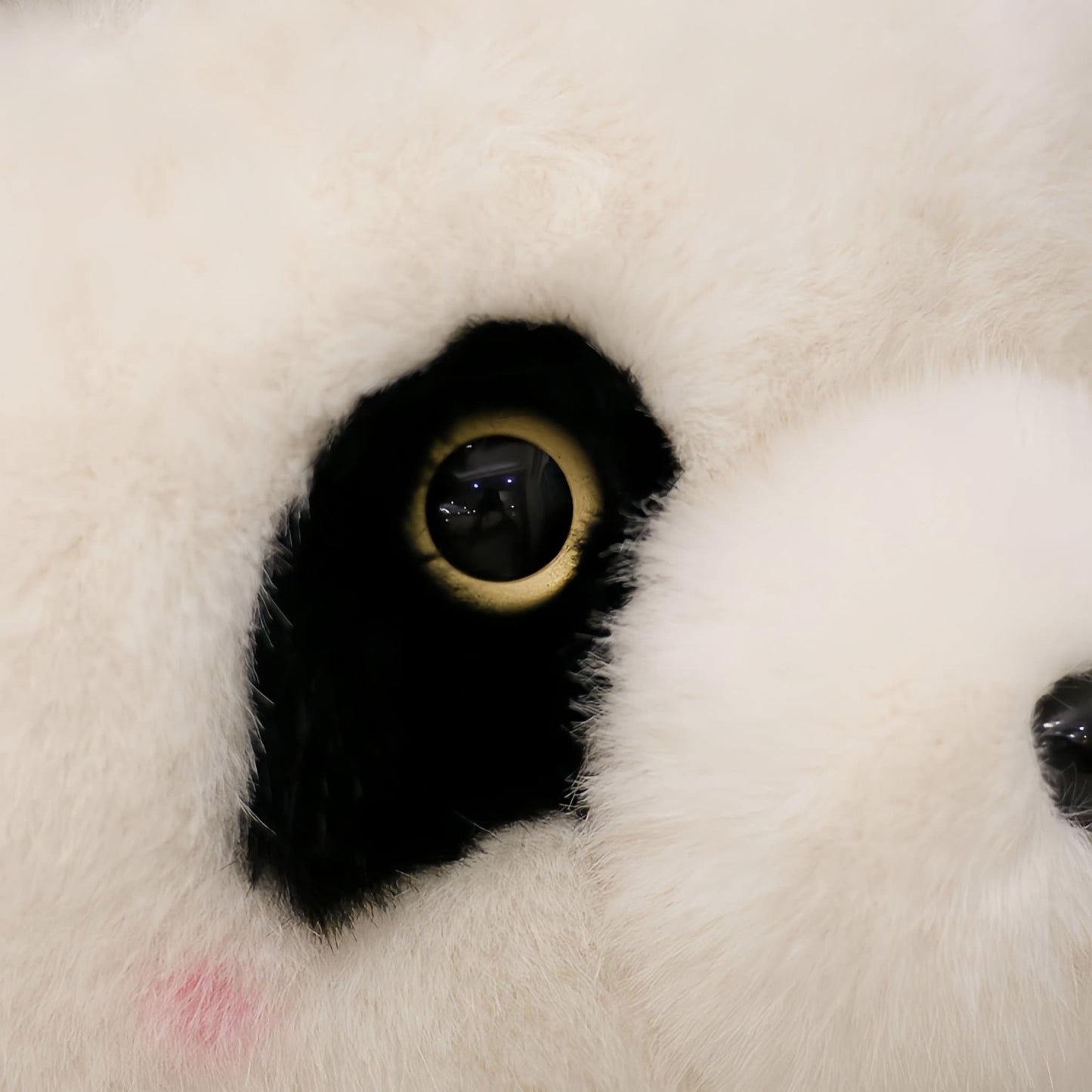 Panda Plush Backpack – Cute Stuffed Toy Bag Inspired by Hua Hua the Panda