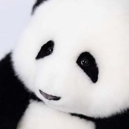 He Hua Panda Twins - Handcrafted Limited Edition Panda Plush with Realistic Features 🐼💖