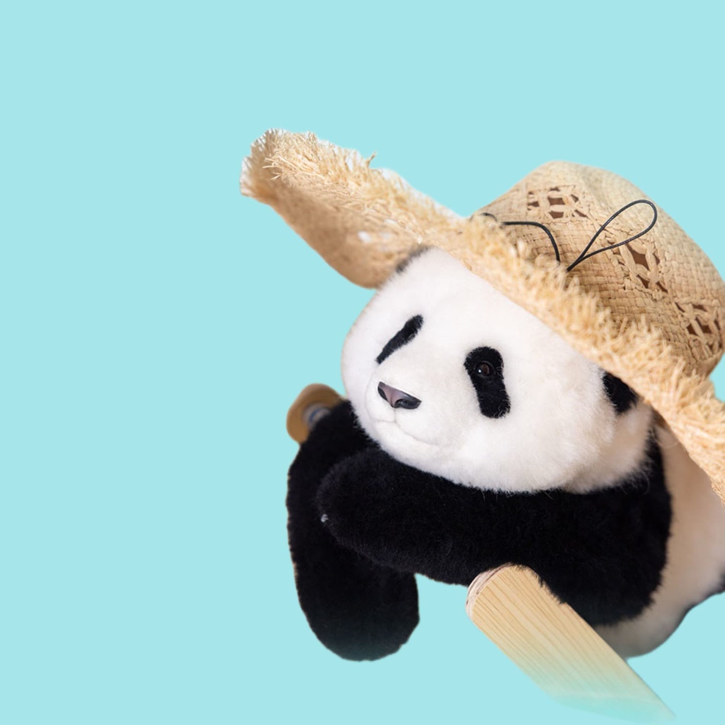 Meng Lan Panda Plush – The Prince of the Panda World 🐼👑