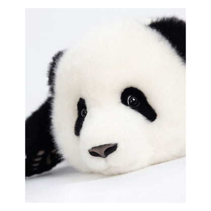 He Ye Panda Plush – The Underdog of Panda Royalty 🐼👑