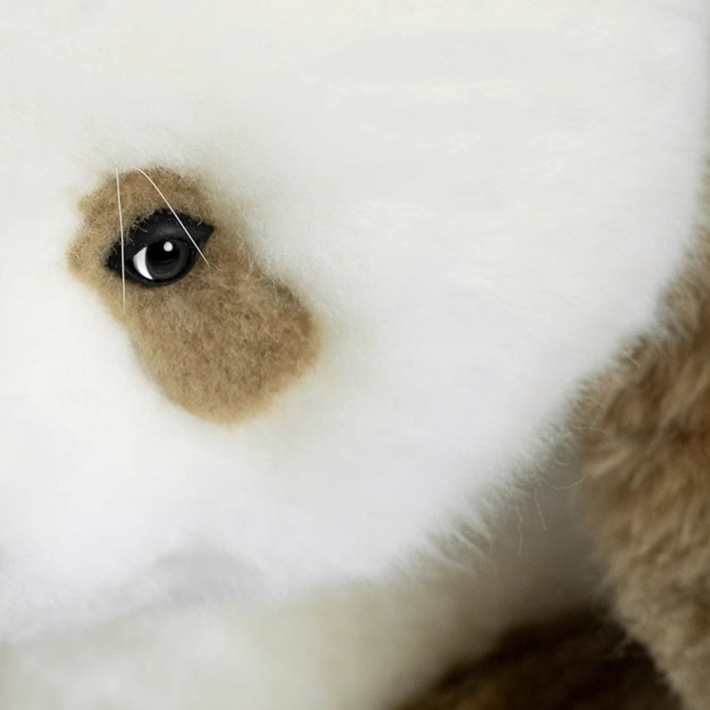 Qi Zai Panda: el raro peluche de panda marrón 🐼💖