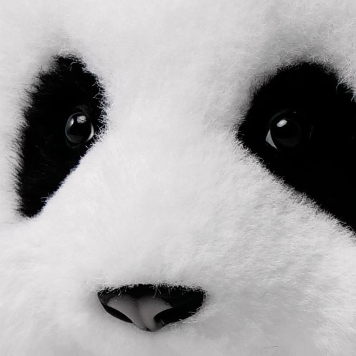 Panda Backpack Plush – Your Adorable, Stylish Companion 🐼🎒