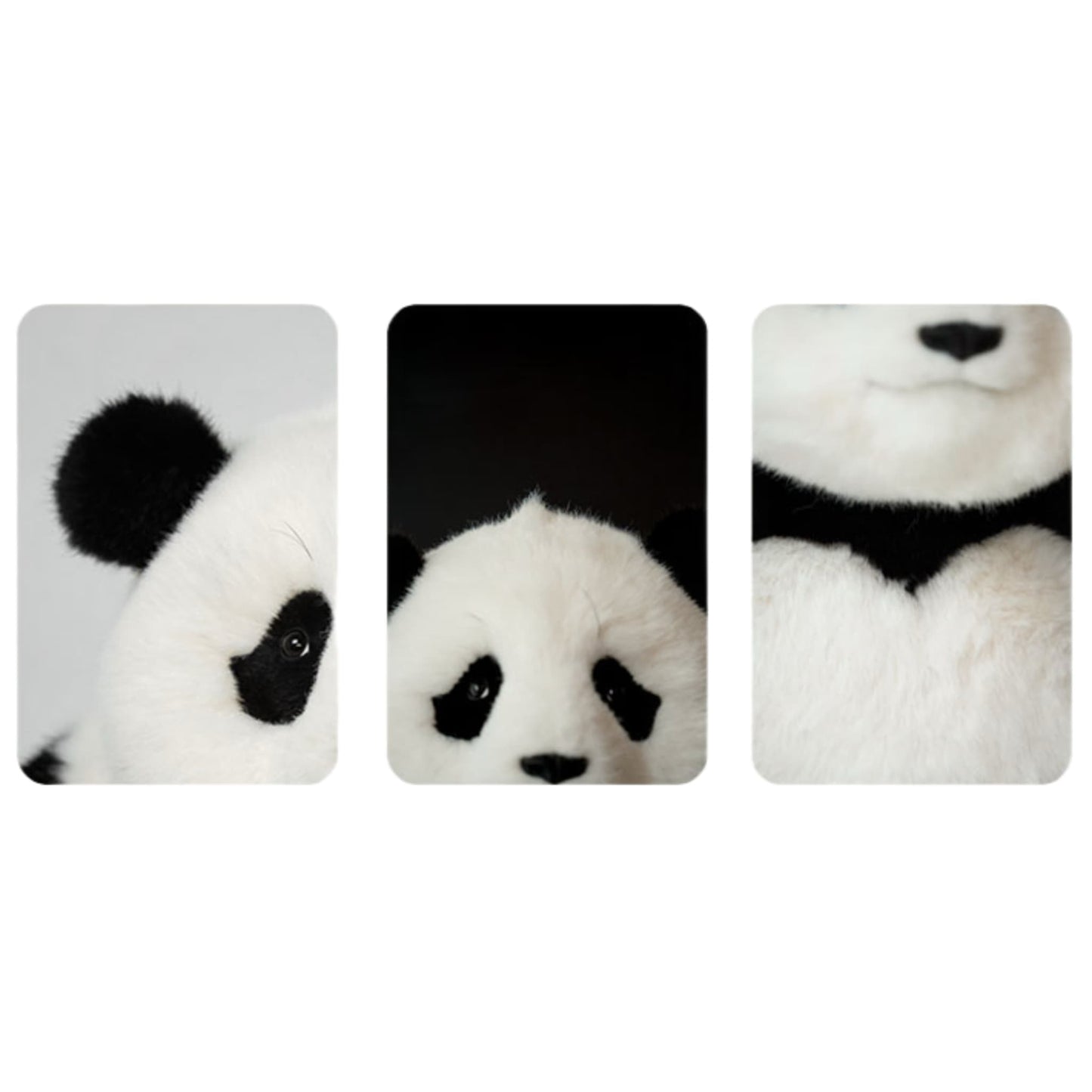 Princesa Fu Panda: el panda de peluche más realista y adorable 🐼✨