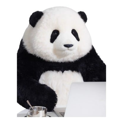 Hua Hua Limited Edition Panda – Handcrafted, Realistic & Iconic 🐼✨