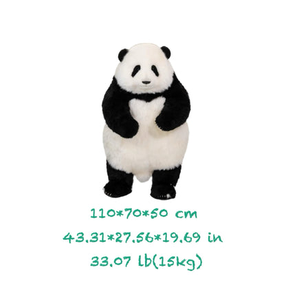 Hua Hua Limited Edition Panda – Handcrafted, Realistic & Iconic 🐼✨