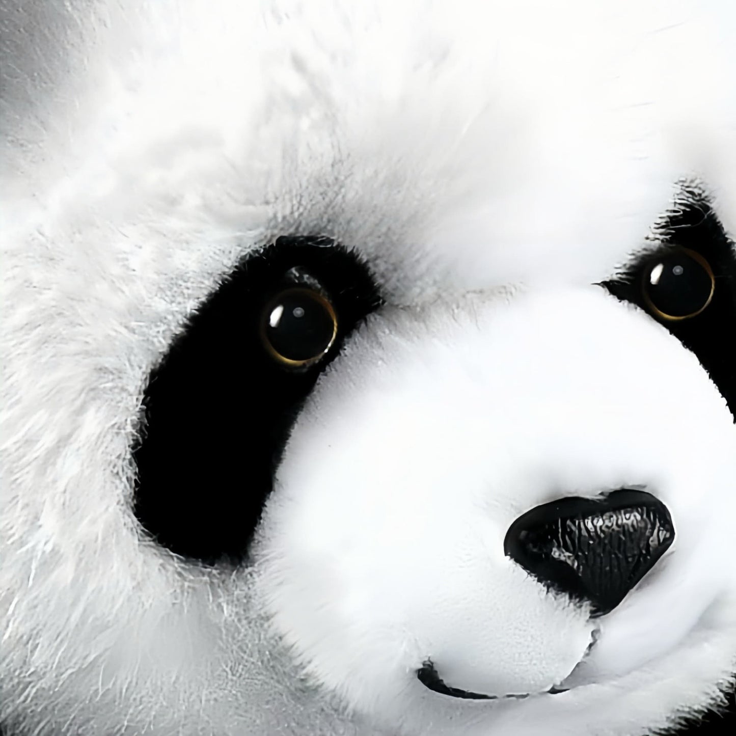 🐼 Realistic Giant Panda Plush – Snuggly Cuteness with Heart-Melting Details | Chengdu Panda Base Official