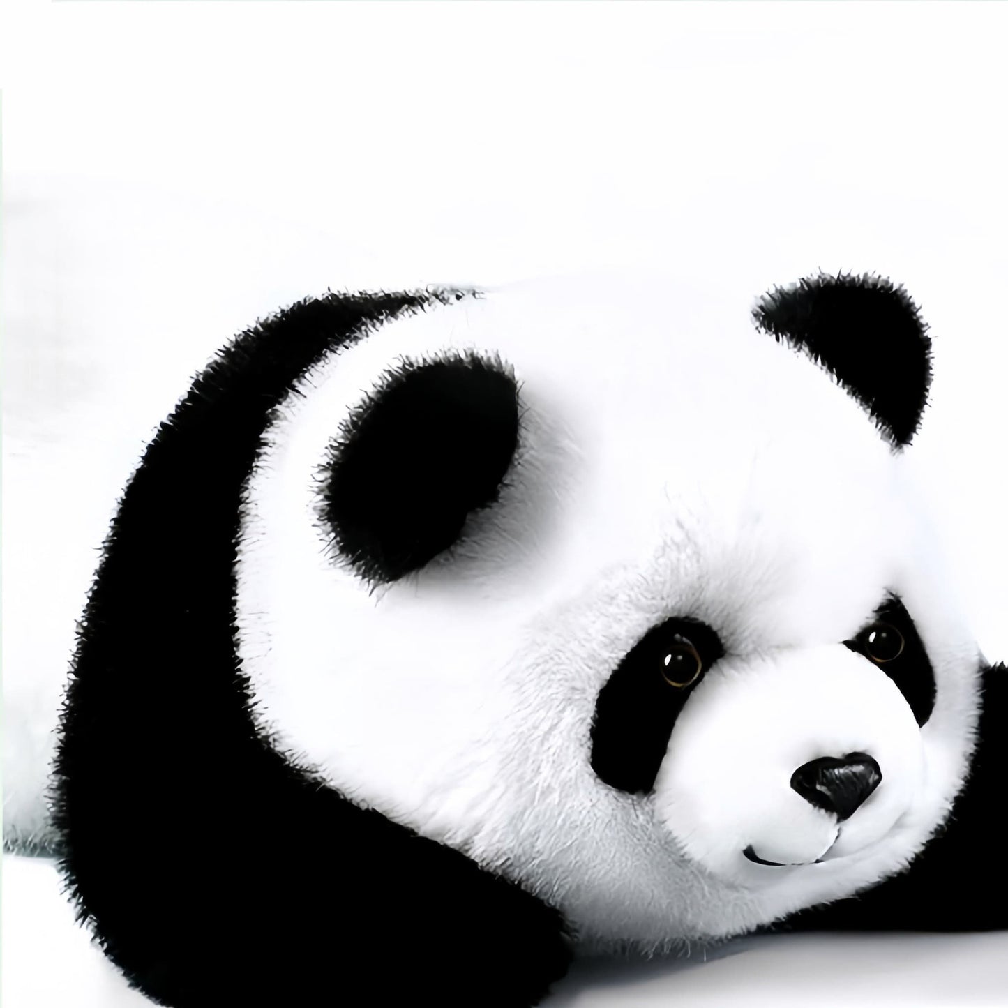 🐼 Realistic Giant Panda Plush – Snuggly Cuteness with Heart-Melting Details | Chengdu Panda Base Official