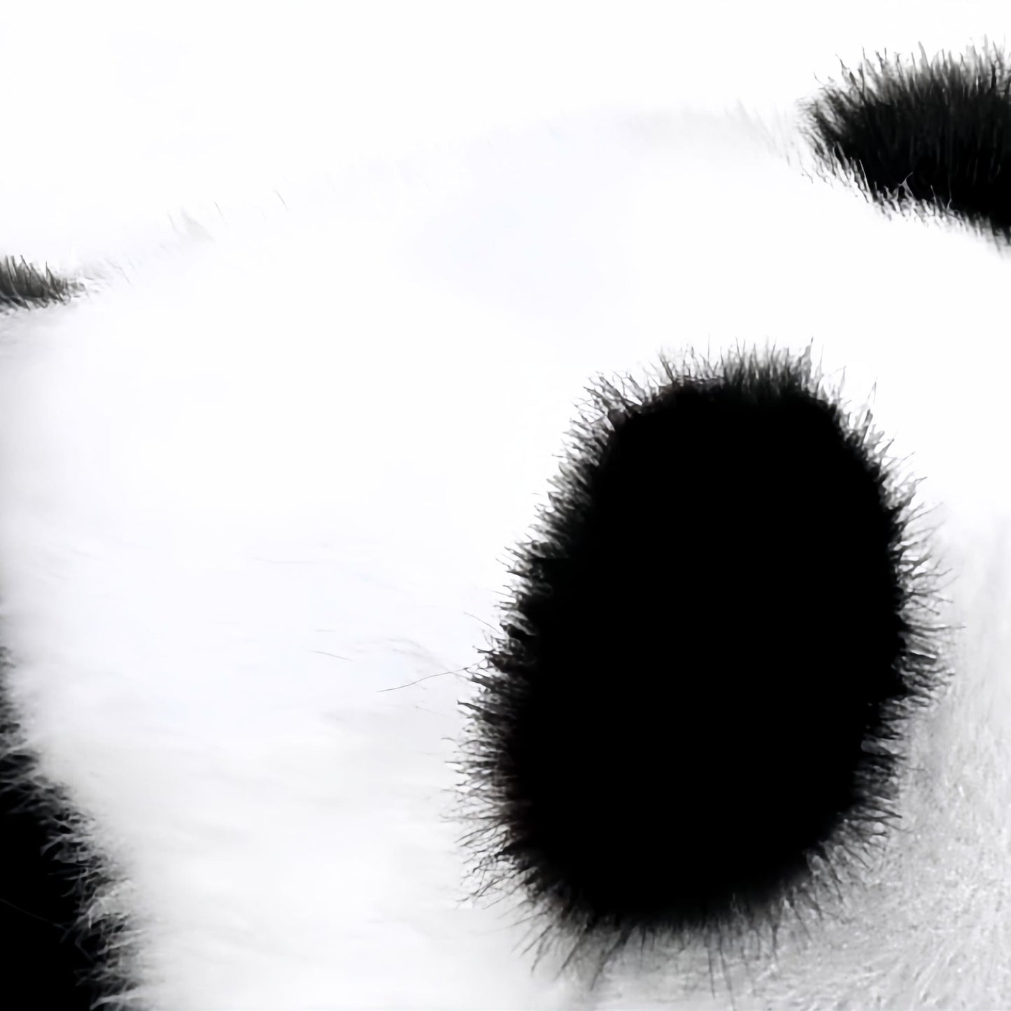 🐼 Realistic Giant Panda Plush – Snuggly Cuteness with Heart-Melting Details | Chengdu Panda Base Official