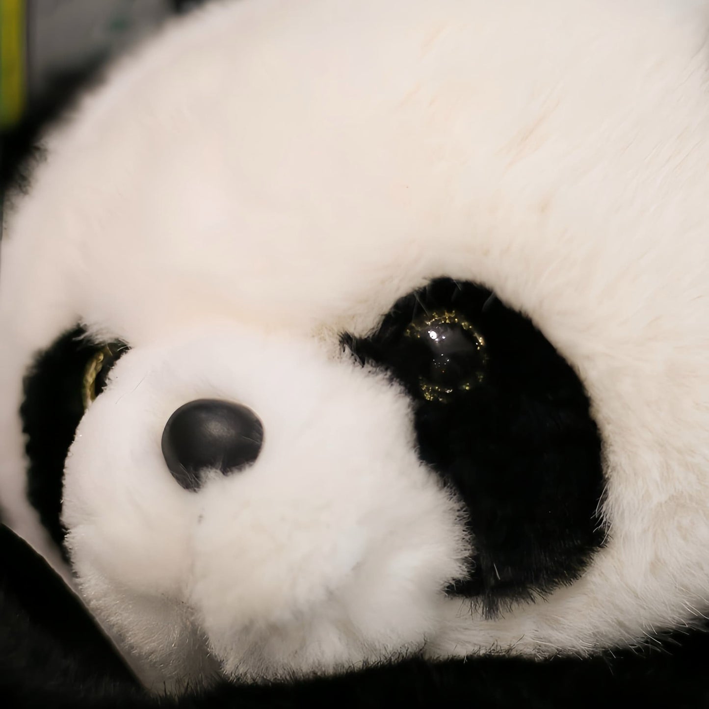 🎒 Hua Hua Panda Plush Backpack – Cute, Quirky & Full of Personality