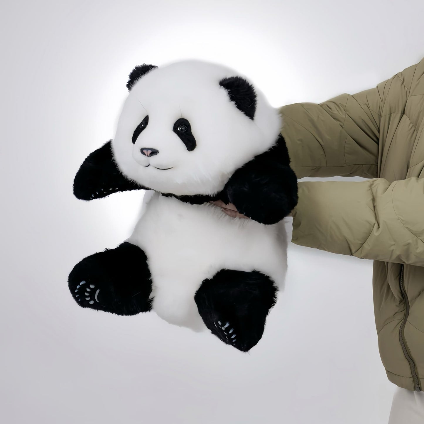 Meng Lan Panda – El tercer príncipe del Reino Panda 🐼👑