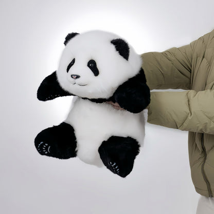 Meng Lan Panda – El tercer príncipe del Reino Panda 🐼👑