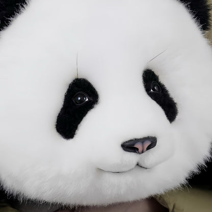 Meng Lan Panda – El tercer príncipe del Reino Panda 🐼👑