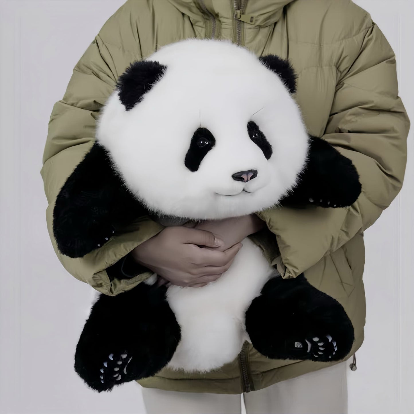 Meng Lan Panda – El tercer príncipe del Reino Panda 🐼👑