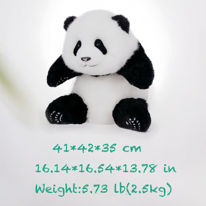 Meng Lan Panda – El tercer príncipe del Reino Panda 🐼👑