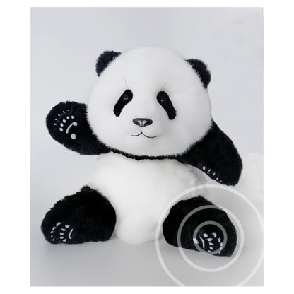 Meng Lan Panda – El tercer príncipe del Reino Panda 🐼👑