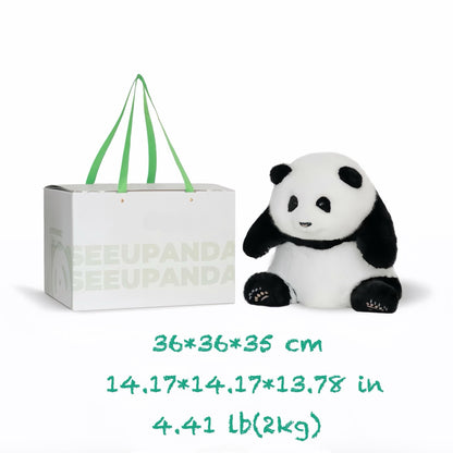He Hua Panda – La Adele del mundo panda 🐼🎶